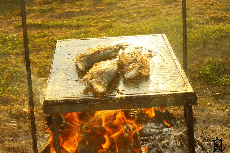 Poliaci na Tarasu  126.JPG